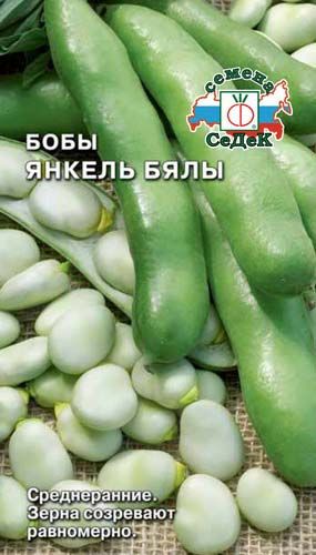 бобы Янкель Бялы (бобы длинные, зерна бежевые). Евро, 10 фото