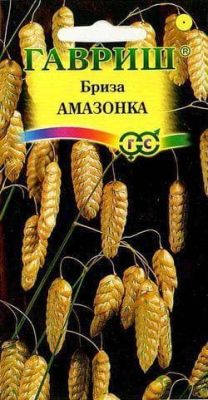 Бриза трясунка Амазонка Бриза трясунка Амазонка фото