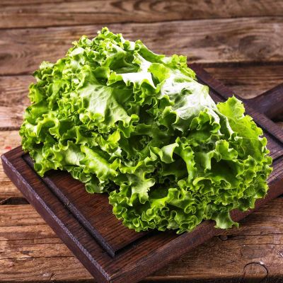 Салат Джаз Листовой Салат Джаз Листовой фото