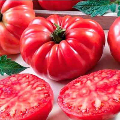 Томат Инжирный малиновый автор. Томат Инжирный малиновый автор. - Dolina-Sad.Ru